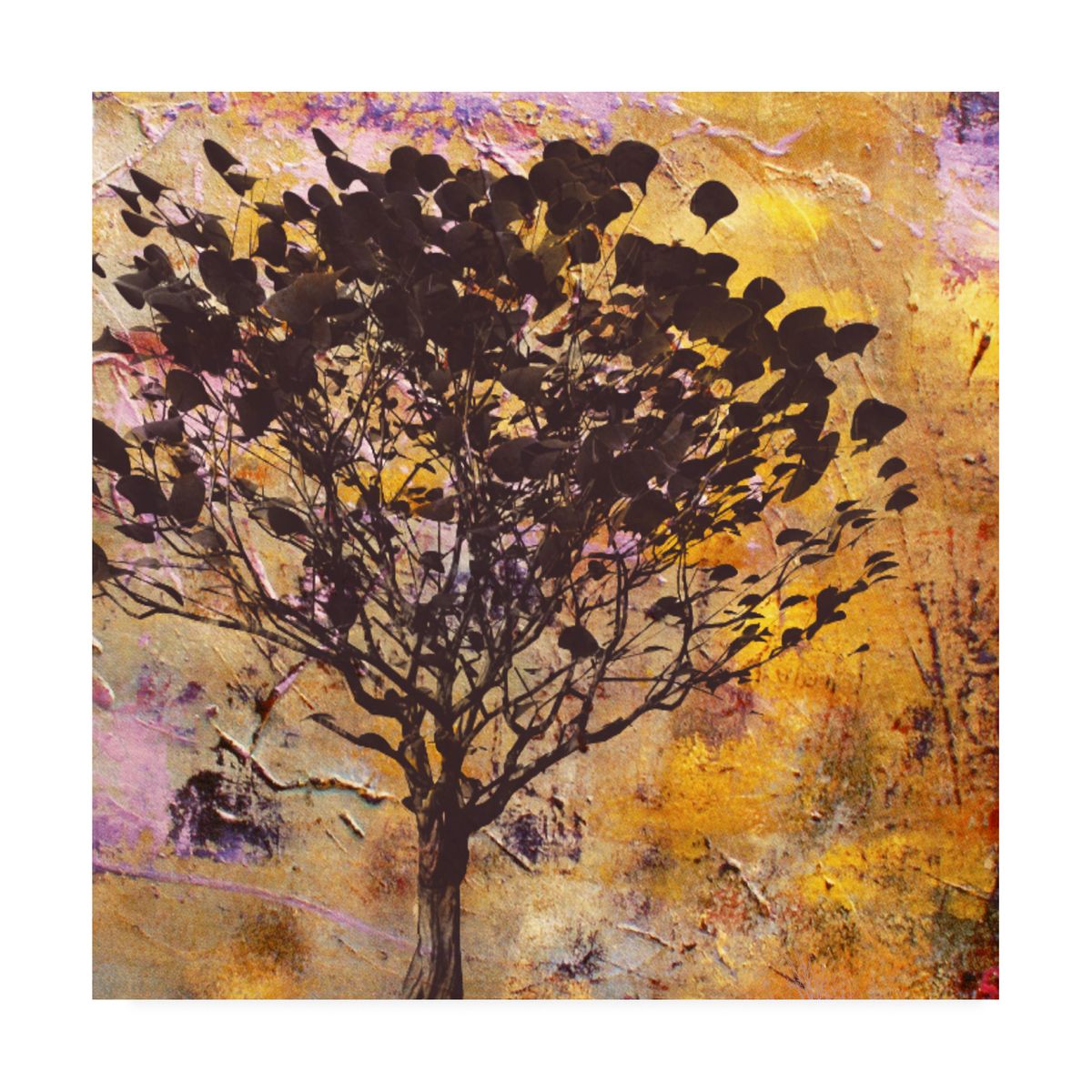 送料無料 メーカー再生品 送料無料 Trademark Fine Art Irena Orlovによる Autumn Colored III キャンバスアート 海外通販 'Autumn III' Canvas by Orlov schluesselzentrale-24.de schluesselzentrale-24.de