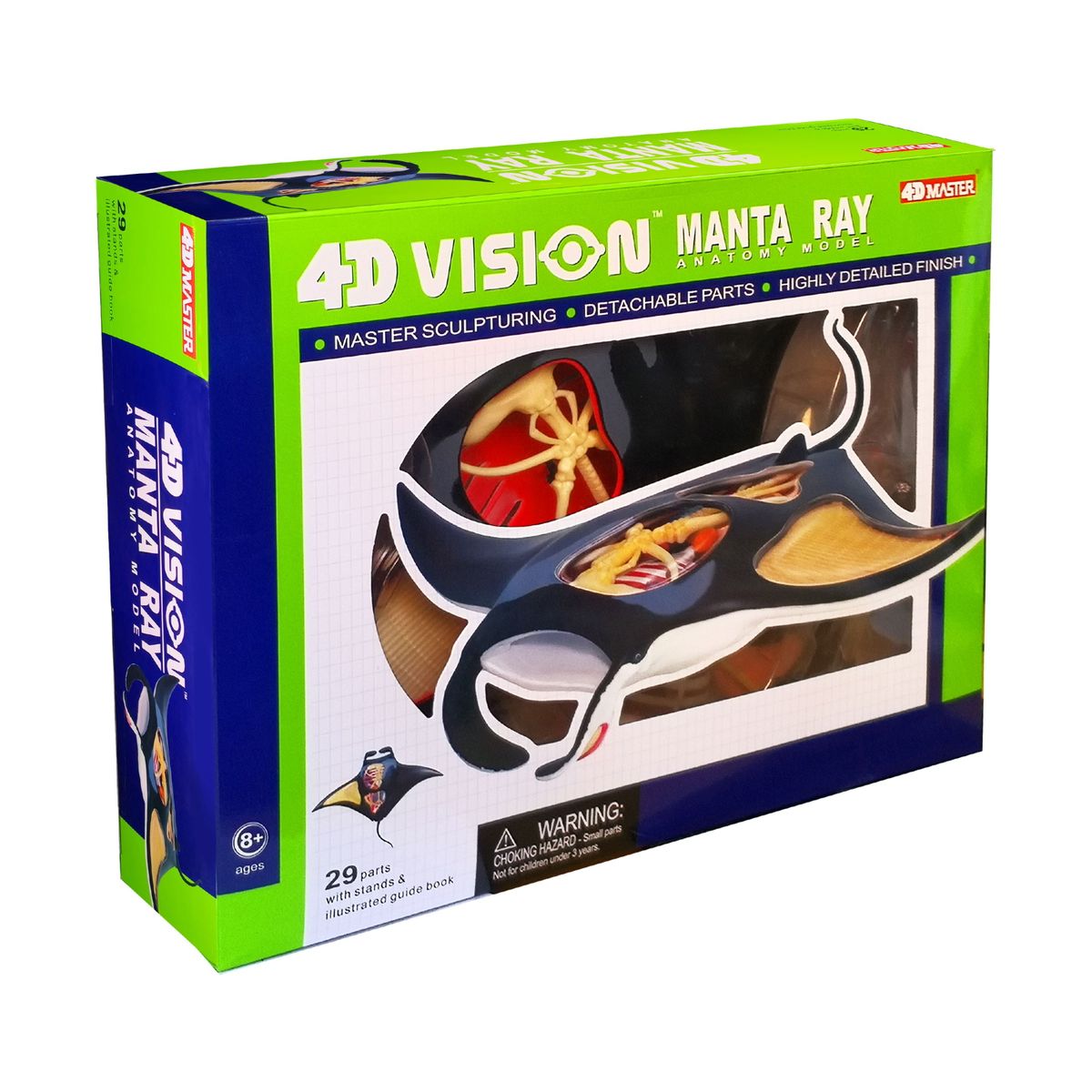 [RDY] [貨物輸送無料] 4D幻影 マンタ生体解剖模範例 [外国で通信販売] | 4D Vision Manta Ray Anatomy Model その他-知育玩具・学習玩具-おもちゃ