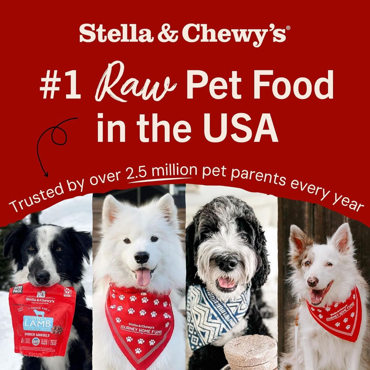 [RDY] [貨物輸送無料] Stella \u0026 Chewy\u0027s 犬用すくみ上がる素っ気ない生食パティー - ダンディ・ラム味 - 25薬局衡オンス袋 [外国で通信販売] | Stella \u0026 Chewy\u0027s Freeze-Dried Raw Dinner Patties for Dogs - Dandy Lamb Recipe - 25 Ounce Bag
