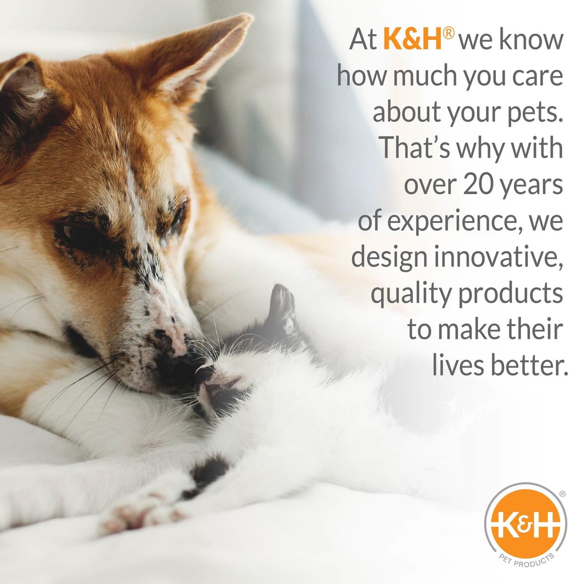 [RDY] [貨物輸送無料] K\u0026H Pet Products エアソファベッド 米国海軍／ジオフラワーズ スモール 18\u0026times;24in [外国で通信販売] | K\u0026H Pet Products Air Sofa Bed Navy/Geo Flower Small 18 X 24 Inches