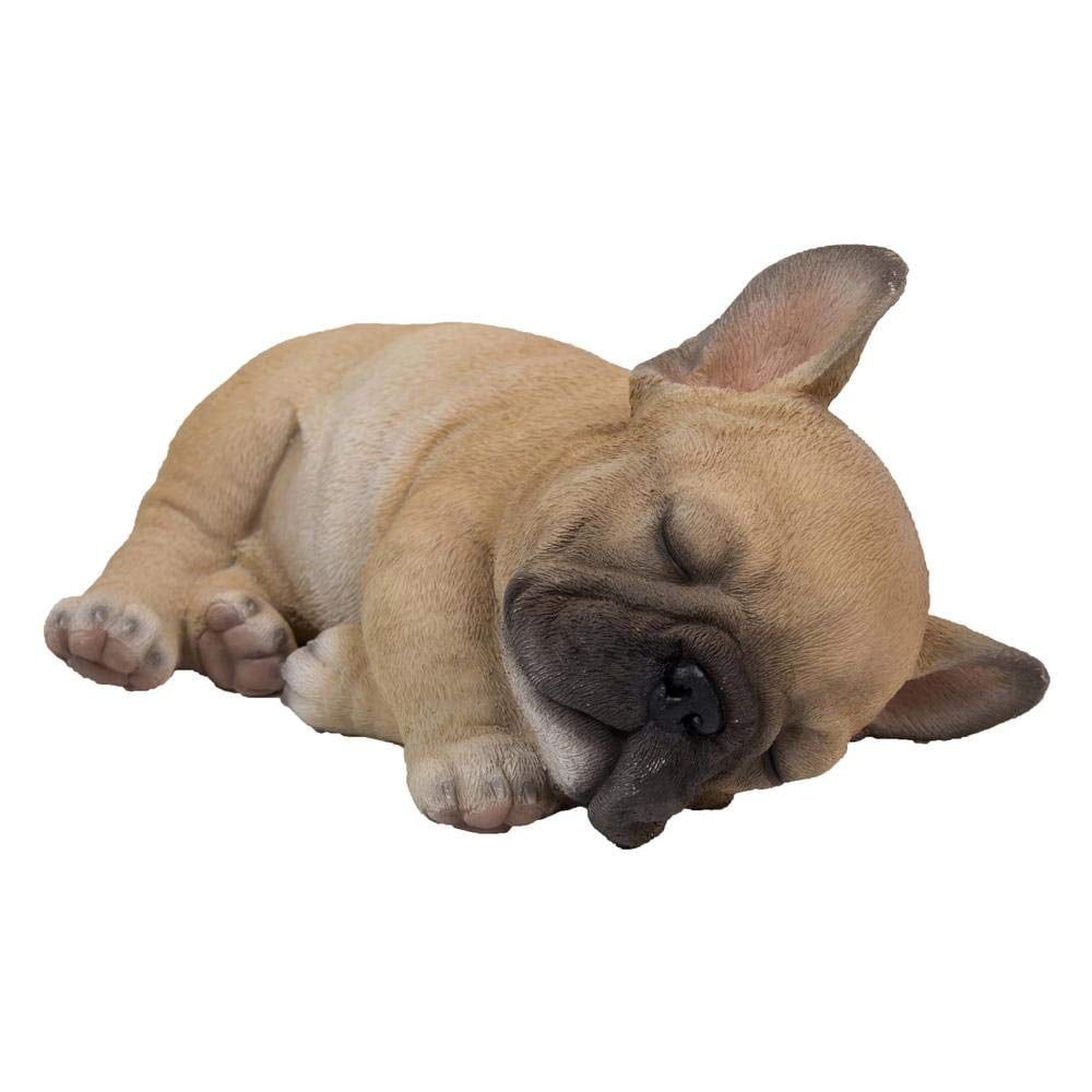 [RDY] [貨物輸送無料] 眠っているパグの犬ころ [外国で通信販売] | Sleeping Pug Puppy