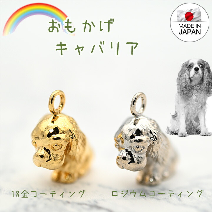 93%OFF!】 遺骨カプセルキーホルダーキャバリアペット仏具 名入れ 刻印 カプセルメモリアルグッズ 遺骨キーホルダーペットロス日本製  amazing-flooring.com