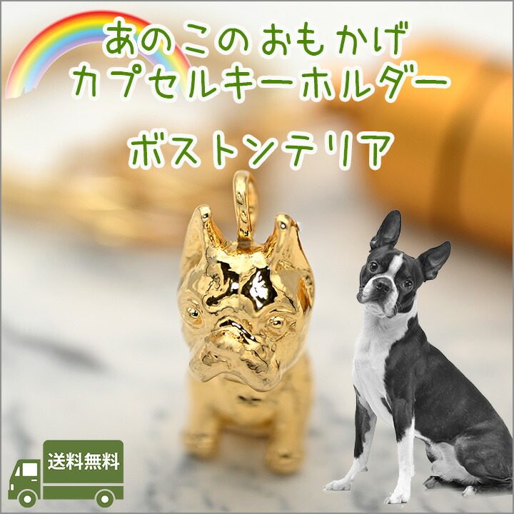 1170円 高価値セリー 遺骨カプセルキーホルダーボストン テリアペット仏具 名入れ 刻印 カプセルメモリアルグッズ 遺骨キーホルダーペットロス ボストンテリア日本製