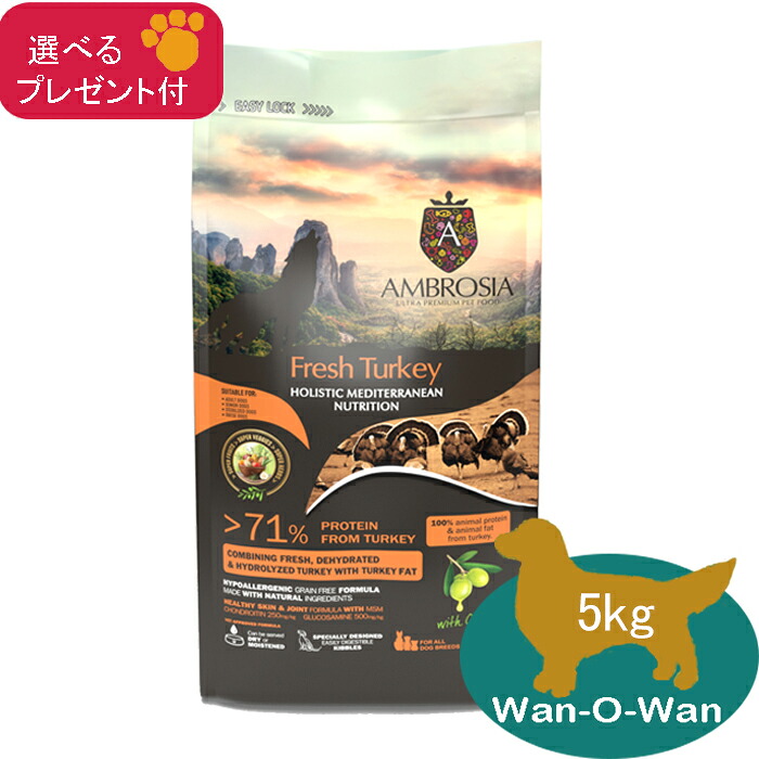 (各種クーポン有)アンブロシア HMN ターキー ドッグフード 5kg (選べるプレゼント付)【正規品】 AMBROSIA 穀物不使用 グレインフリー コンドロイチン グルコサミン 成犬 シニア犬 体重管理 送料無料|Wan-O-Wan店
