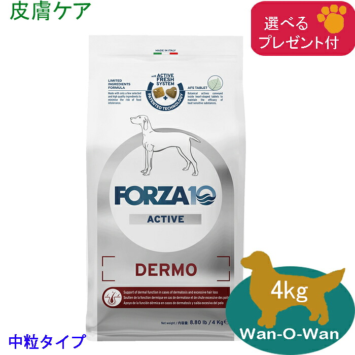 フォルツァ10 (FORZA10) デルモアクティブ (人はだ世話をする)ドッグフード (中粒) 4kg (選べる差し上げ物付)「置き目品」人はだ煩わしさ 人はだ・被毛の思わしい守りつづける 召しあがる治療薬食