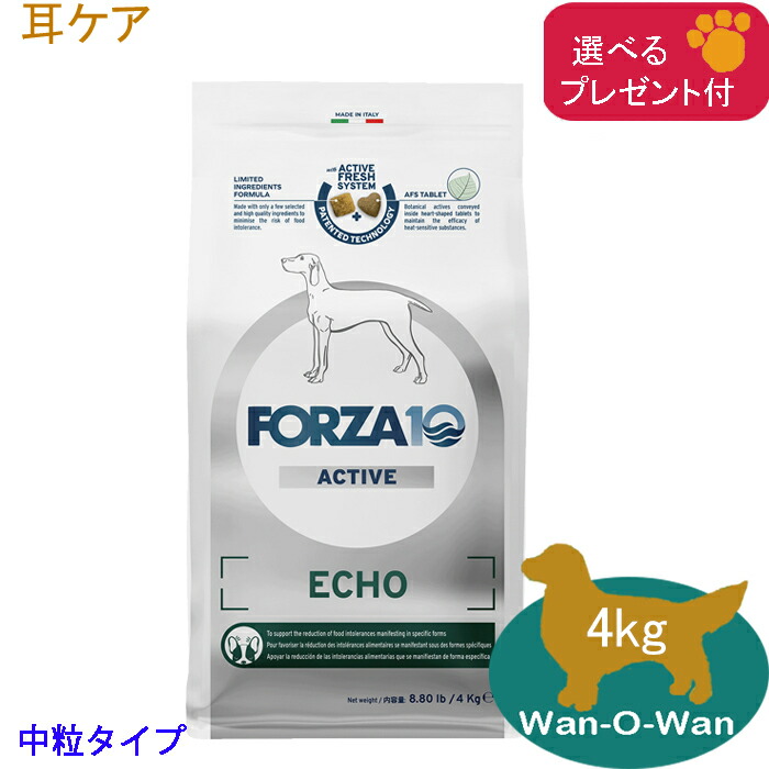 フォルツァ10 (FORZA10) エコーアクティブ (耳世話をする) ドッグフード (中粒) 4kg(選べる差し上げ物付)「置き目品」 耳炎 耳管 耳管・耳の思わしい守りつづける 召しあがる治療薬