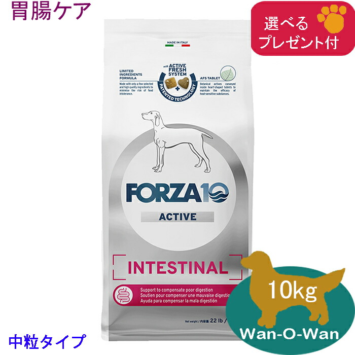 フォルツァ10 (FORZA10) インテスティナルアクティブ (胃の腑世話をする)ドッグフード (中粒) 10kg(選べる差し上げ物付)「置き目品」治療薬食 胃の腑受け支える フォルツァディエチ