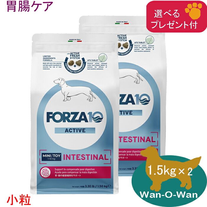 フォルツァ10 (FORZA10) インテスティナルアクティブ (胃の腑世話をする)ドッグフード (微粒子) 1.5kg×2(選べる差し上げ物付)「置き目品」治療薬食 胃の腑受け支える フォルツァディエチ