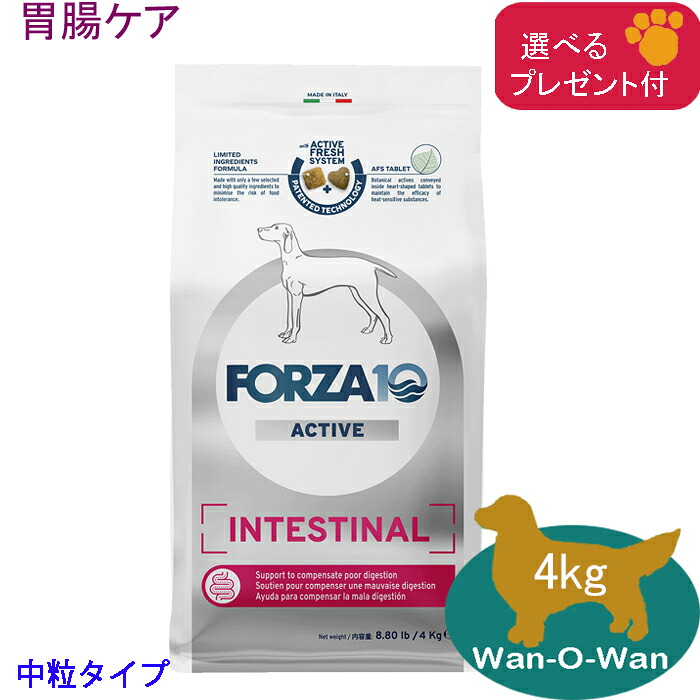 フォルツァ10 (FORZA10) インテスティナルアクティブ (胃の腑世話をする)ドッグフード (中粒) 4kg(選べる差し上げ物付)「置き目品」治療薬食 胃の腑受け支える フォルツァディエチ