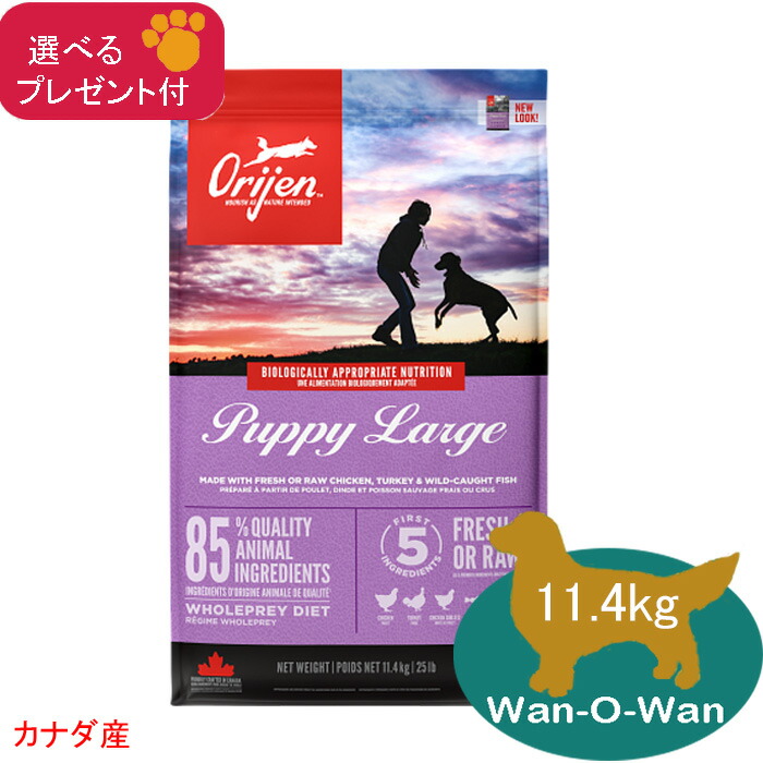 正規品 カナダ産 Orijin オリジン シニア 11.4kg まとめ可 【公式通販】