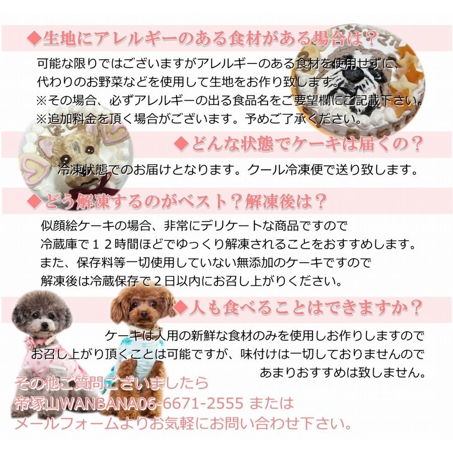 楽天市場 犬の 似顔絵ドッグケーキ を立体に 2頭描き 野菜サツマイモと鮭 生地 4号 誕生日に無添加で安心人気 バースデー 名前入れ おやつ お祝い オリジナル 記念 口コミ セット かわいい 小型犬 えさ ごはん ドッグ フード 帝塚山ワンバナ ペットフード Wanplus楽天