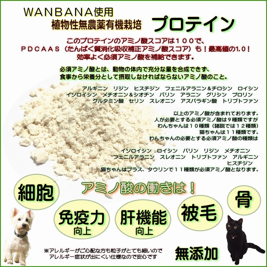 楽天市場 犬 おやつ 無添加 プレミアム コエンザイム Q10 クッキー 人気 プロテイン入り 国産 手作り 補酵素 ギフト 帝塚山 Wanbana ペットフード Wanplus楽天市場店