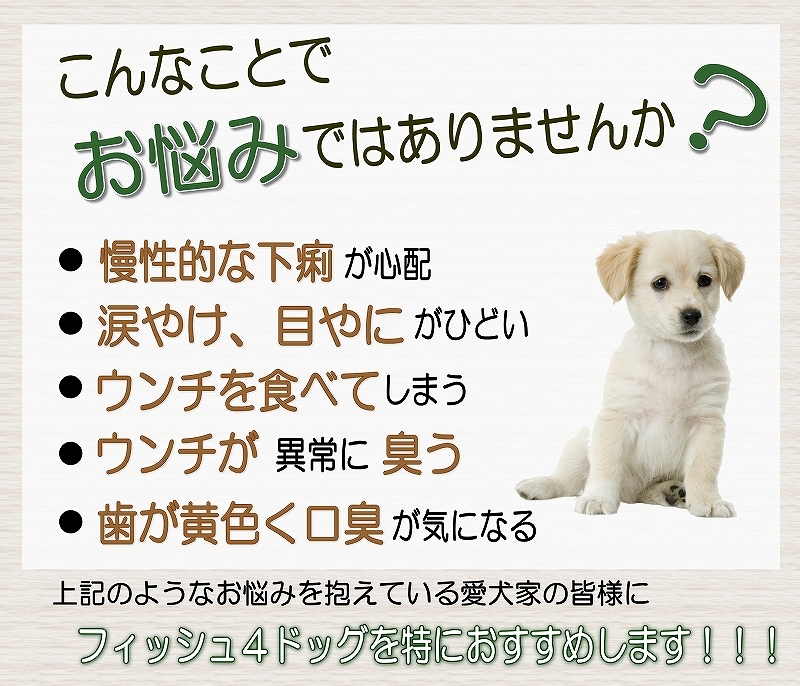 楽天市場 犬のトッピング材料に フィッシュ4サーモンオイル Fish4dogs ドライフード サーモンオイル100 真空ポンプ 150ml 無添加 Dha Epa オメガ３ アレルギー体質の愛犬に 魚 フィッシュ など嗜好性抜群 イギリス産 6600円以上送料無料 ペットフード Wanplus楽天