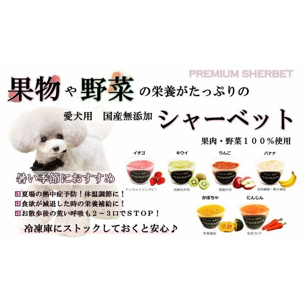 楽天市場 犬のアイス イチゴシャーベット 70g ストロベリー クッキー味 無添加 暑い 熱中症対策 食欲不振 夏バテ 体温調節 フルーツ 果物 ひんやり 冷たい 贈り物 ギフト プレゼント アレルギー対応 6600円以上送料無料 ワンバナ ペットフード Wanplus楽天市場店