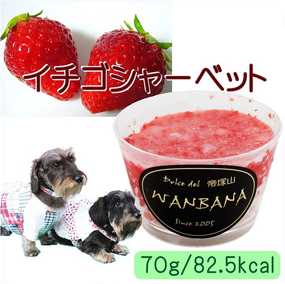 楽天市場 犬のアイス イチゴシャーベット 70g ストロベリー クッキー味 無添加 暑い 熱中症対策 食欲不振 夏バテ 体温調節 フルーツ 果物 ひんやり 冷たい 贈り物 ギフト プレゼント アレルギー対応 6600円以上送料無料 ワンバナ ペットフード Wanplus楽天市場店