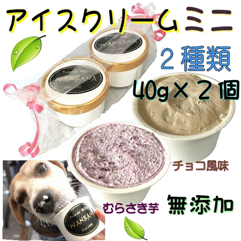 楽天市場 犬のアイスクリーム チョコ風味アイス キャロブと馬肉チップ むらさき芋アイス 馬肉チップの２種類 ミニサイズ40g セット 無添加 小型犬用sサイズ 暑い 熱中症対策 食欲不振 夏バテ 体温調節 贈り物 ギフト プレゼント アレルギー対応 6600円以上送料無料