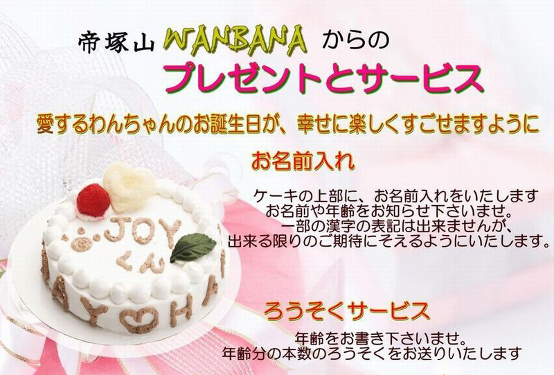 市場 あす楽 無添加で安心人気バースデーおやつギフト ハッピーデーケーキ 犬用のお誕生日ケーキ 名入れok 小中大型犬 4号サイズ直径12センチ 野菜とささみ生地