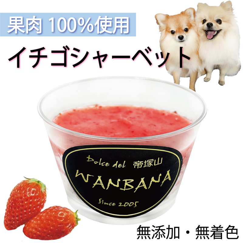 市場 犬のアイス ストロベリー イチゴシャーベット 80g 暑い 夏バテ 食欲不振 体温調節 果物 フルーツ 熱中症対策 無添加