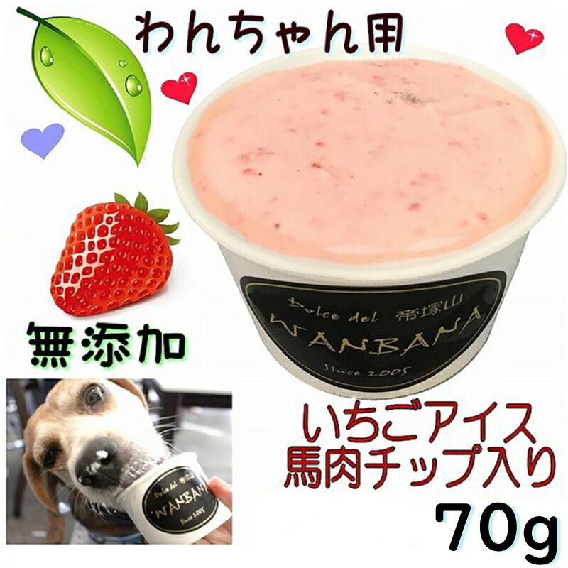 楽天市場】犬用のアイスクリーム Lサイズ70g 馬肉チップクリーム 無