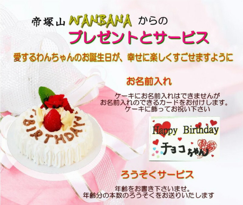 送料無料 あす楽 犬のケーキ ディナーセット ミニ スターツリー 3号 ミニアイス 個set ディナー3種類かぼちゃ馬肉団子 鹿ロースト 大山鳥つくね 小型犬にぴったり 人気の バースデー 誕生日ケーキ 無添加 ギフト ワンバナ Sylvainpaley Cool