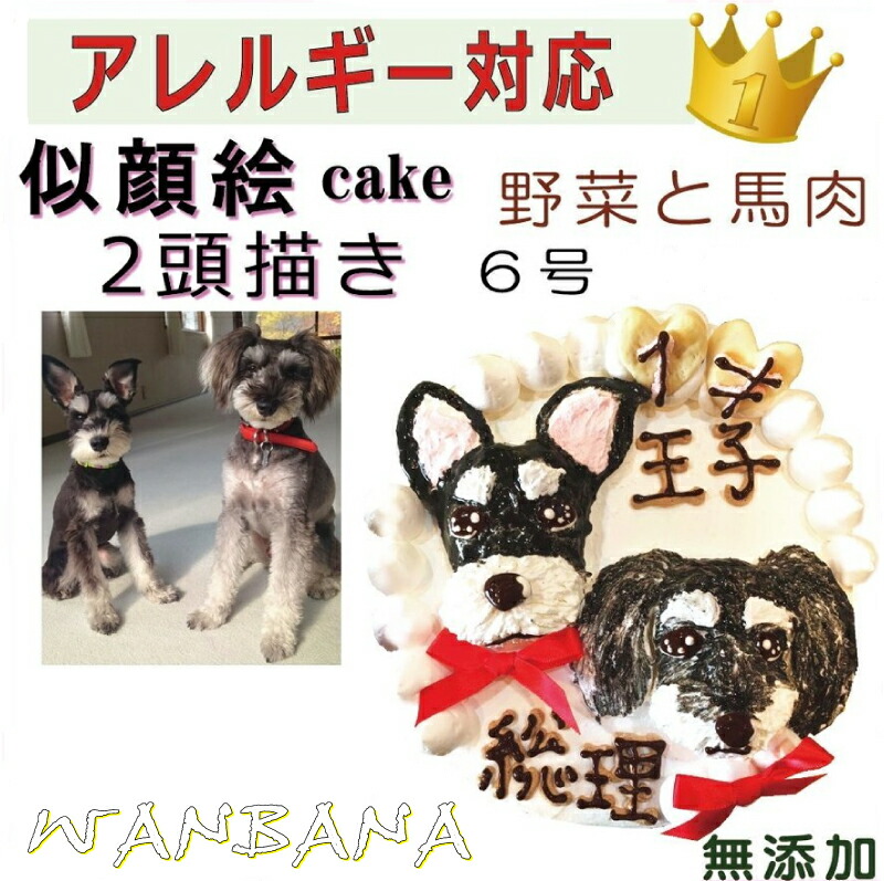 犬用の 似顔絵ドッグケーキ を立体に 2頭描き 野菜と馬肉 生地 6号 誕生日に無添加で安心人気 バースデー 名前入れ おやつ お祝い オリジナル 記念 口コミ セット かわいい 小型犬 えさ ごはん ドッグ フード 帝塚山 Wanbana Timgroomarchitects Com
