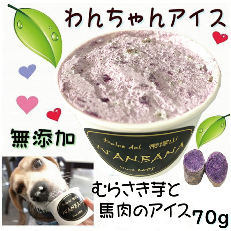 楽天市場】犬用のアイスクリーム Lサイズ70g 馬肉チップクリーム 無