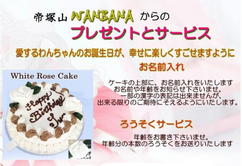 10 Off 犬用の ケーキ ホワイトローズ 5号 サイズ ささみとお野菜生地 お誕生日 バースデー 無添加で安心人気 お名前入り可 おやつ お祝い ギフト 贈り物 ペット ドッグ わんこ 記念 口コミ かわいい 帝塚山ワンバナ 6600円以上送料無料 Iprasecurity Com