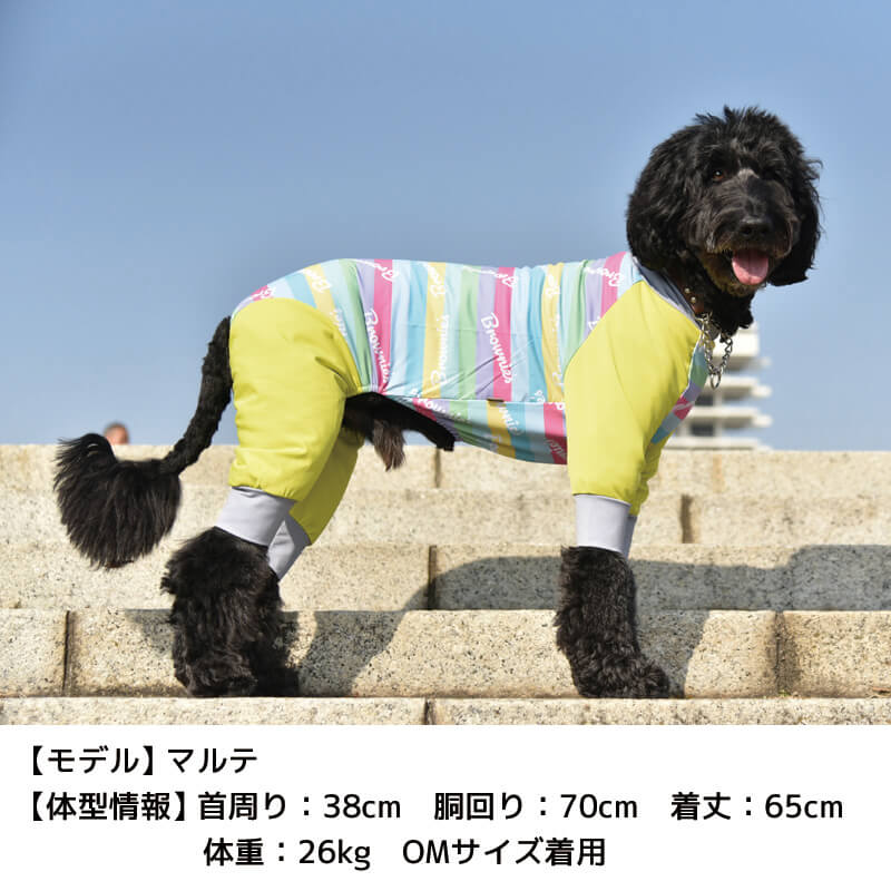 楽天市場 アクティブロンパース 犬用ラッシュガード 大型犬 Brownie S ブラウニーズ 4l 5l 6l Os Om Ol ドッグウェア 部屋着 散歩 キャンプ 犬服 犬の服 中型犬 雨の日 Wan Voyage