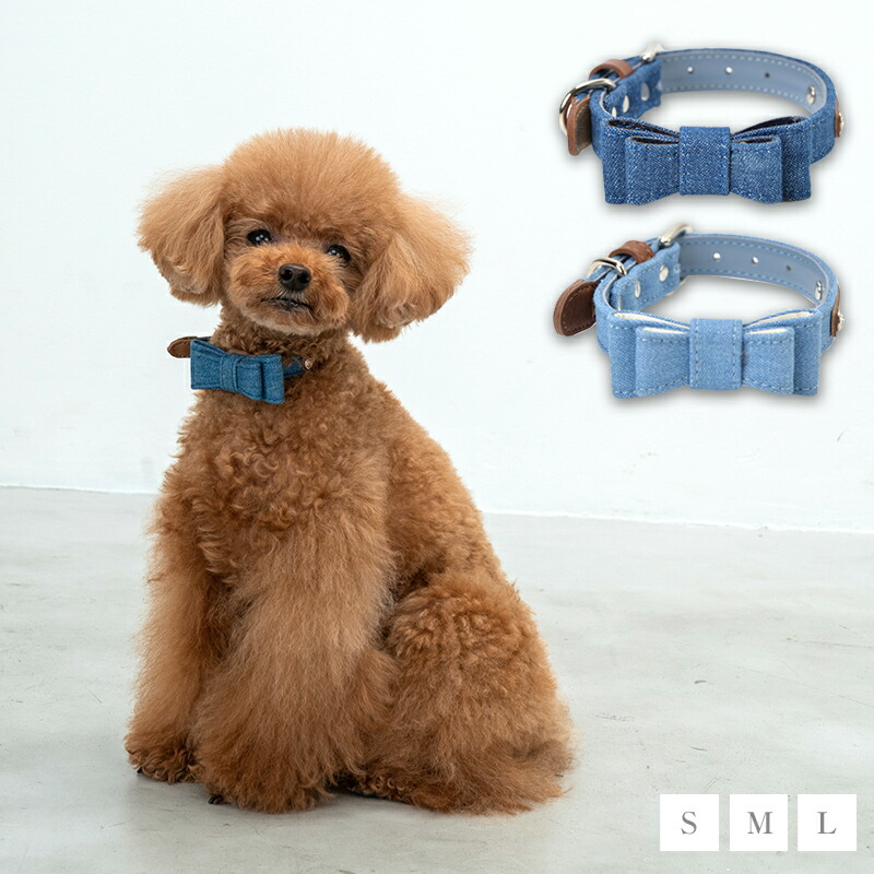 楽天市場】CRAZYBOO / クレイジーブーベルト通し カラーS/M/Lサイズ犬