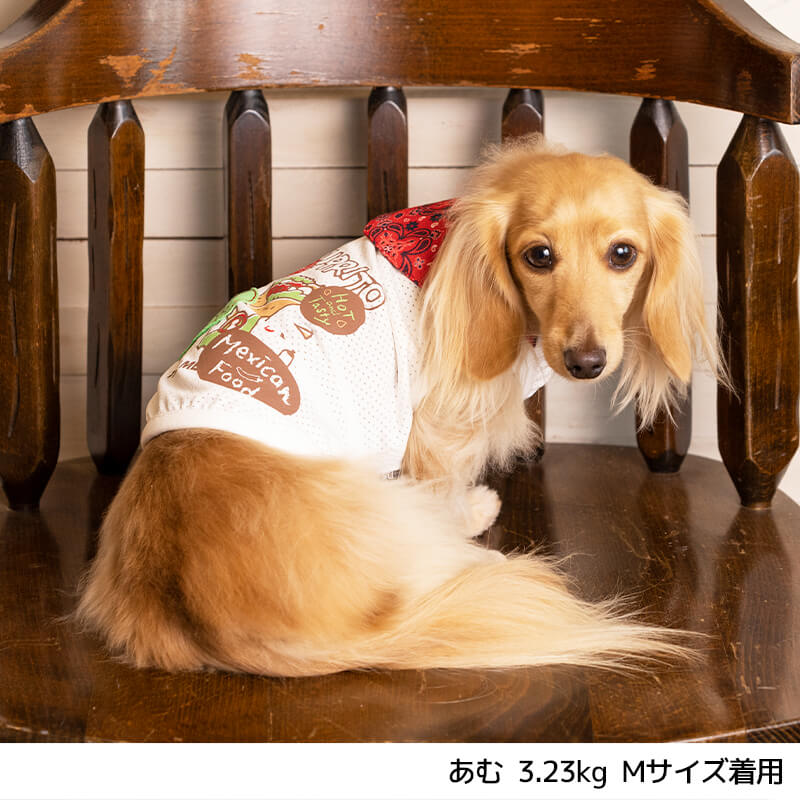 ブリトーメッシュタンクXL/XXL/DS/DM/DL/FBMD'sChat-ディーズチャット-犬服ドッグウェア小型犬トイプードルチワワポメラニアンDS22SS