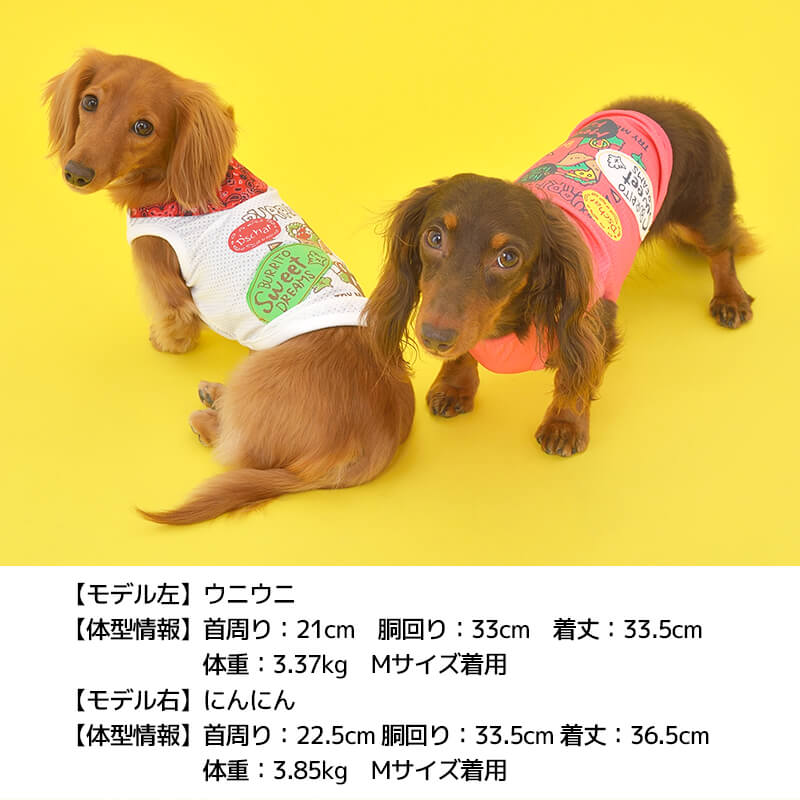 ブリトーメッシュタンクXL/XXL/DS/DM/DL/FBMD'sChat-ディーズチャット-犬服ドッグウェア小型犬トイプードルチワワポメラニアンDS22SS