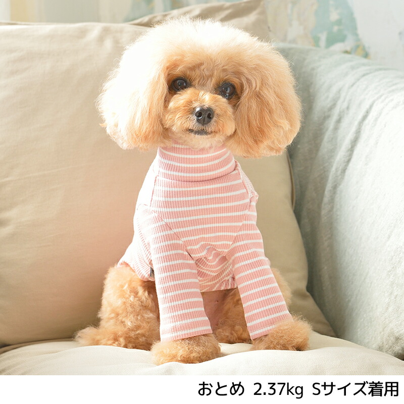 JE241 ボーダーロング袖 XS チワワ 犬服 Egg-ジキルエッグ- Jekyll トイプードル ポメラニアン L S JE21AW 長袖 M XL  ドッグウェア 犬用品