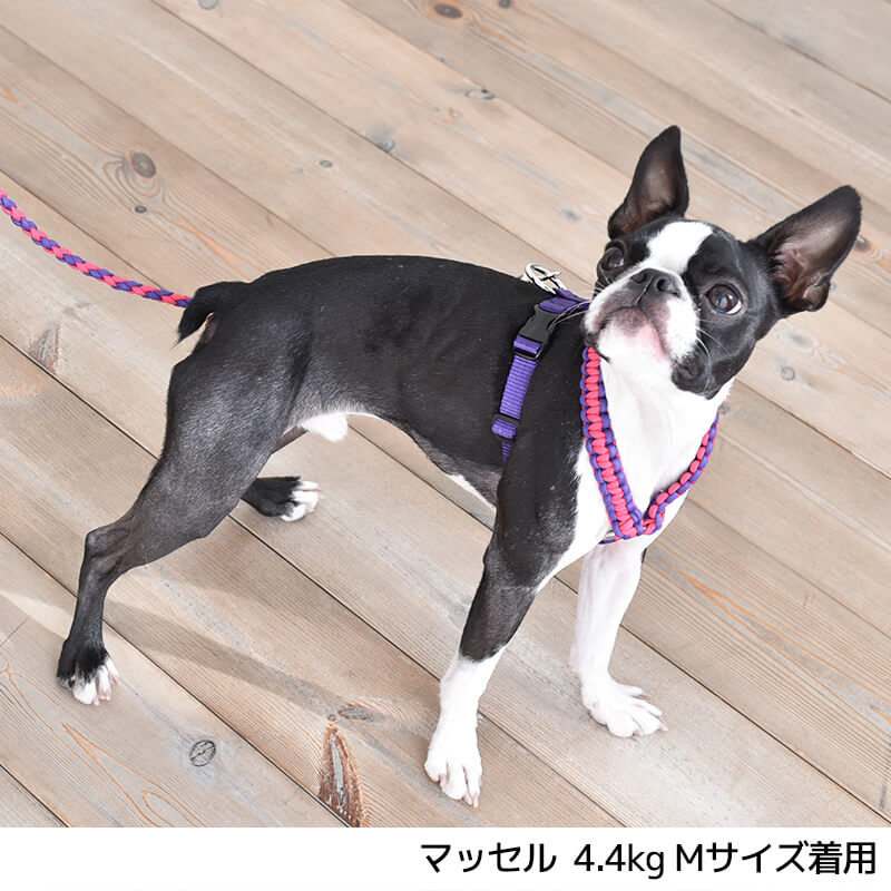 楽天市場 バイカラーコードハーネス M Solgra ソルグラ 犬用 ペット用 犬具 お散歩 トイプードル チワワ ポメラニアン Wan Voyage