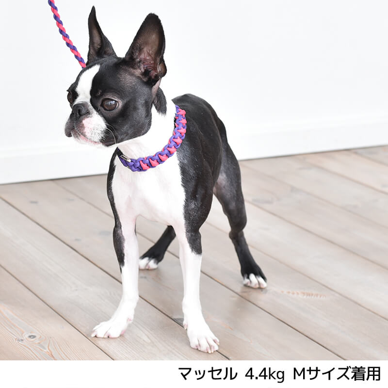 楽天市場 バイカラーコードカラー S Solgra ソルグラ 首輪 犬用 ペット用 犬具 お散歩 トイプードル チワワ ポメラニアン Wan Voyage