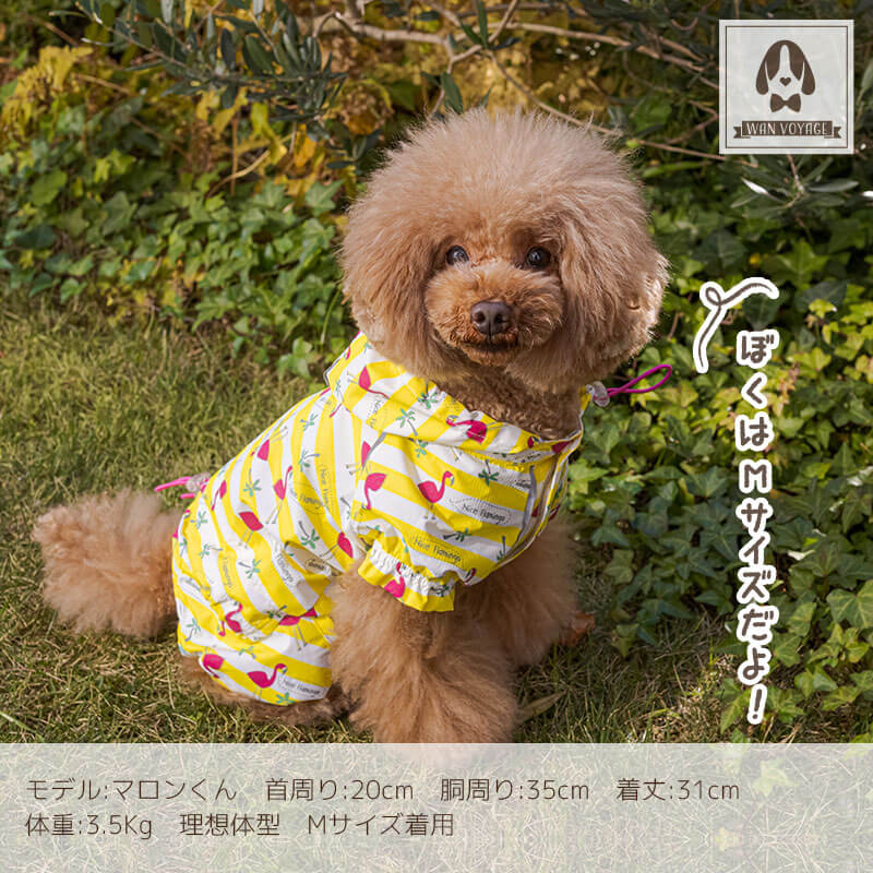 楽天市場 Solgra ソルグラ レインつなぎ S M L 2l 3l アウトドア Wanvoyage ワンボヤージュ 犬の服 おしゃれ 犬服 ドッグウェア トイプードル チワワ ダックス 小型犬 レインコート 雨の日 Wan Voyage