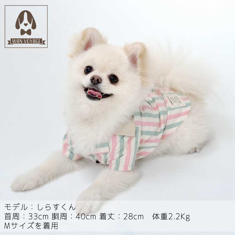楽天市場 ストライプシャツm Lサイズtinotito ティノティート Wanvoyage ワンボヤージュ犬の服 おしゃれ 犬服 ドッグウェア トイプードル チワワ ダックス Wan Voyage