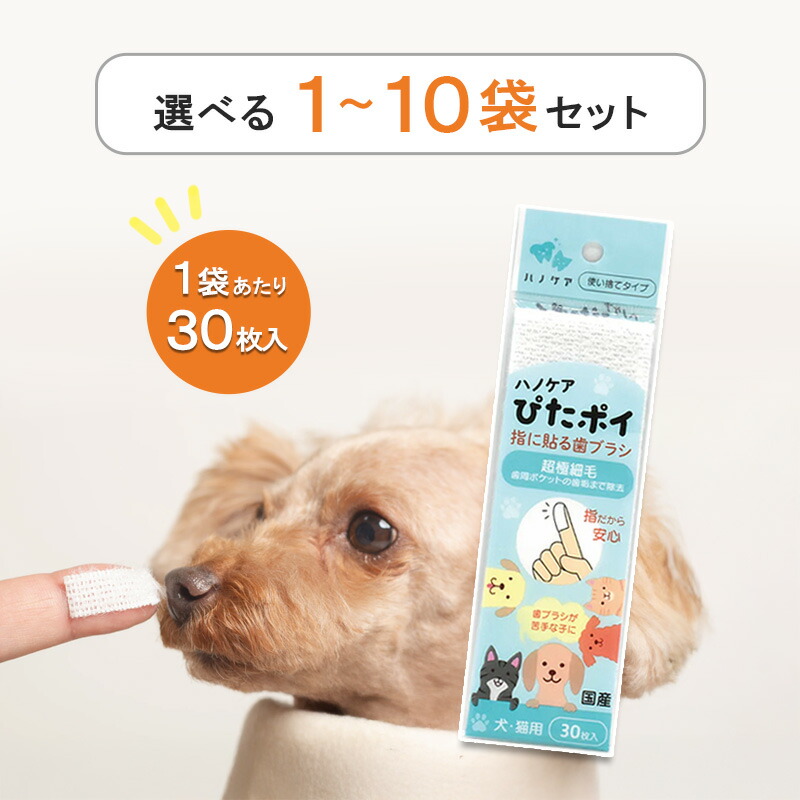 楽天市場】PCK シルクたっぷり泡パック 300g【追跡可能メール便