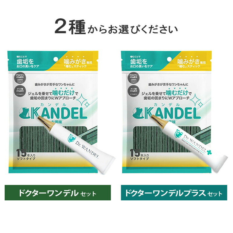 ドクターワンデル カンデル 6セット デンタルガム ドクターワンデル