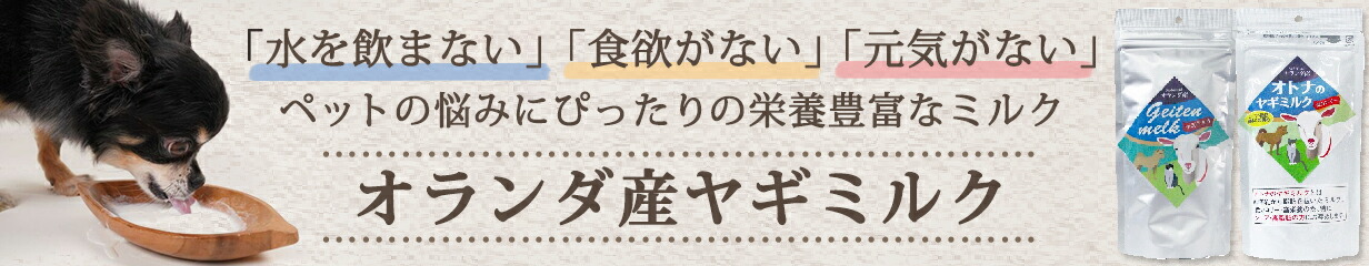 楽天市場】原液ドクタープラス 500ml 2本セット 次亜塩素酸 次亜塩素酸イオン 消臭 除菌【全国一律送料無料】【レターパックプラス発送】【代金引換不可】【日時指定不可】【正規品】  : アエコム