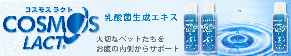 楽天市場】オクチブラシ ぴたポイ 30枚入 3個 KPS【全国一律送料無料】【追跡可能メール便】 : アエコム