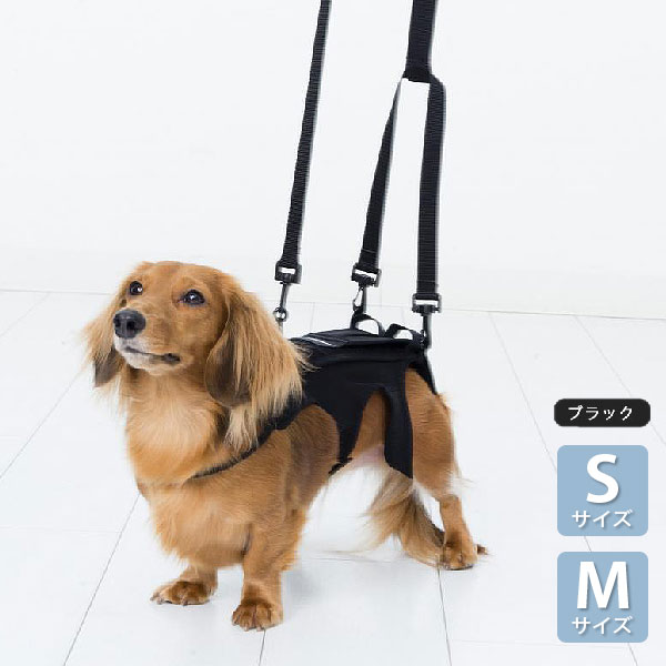 わんコル 持ちお手掛け S/M 黒いこと【追いかける能力のある電子メイル便】【全国首尾一貫した貨物輸送無料】