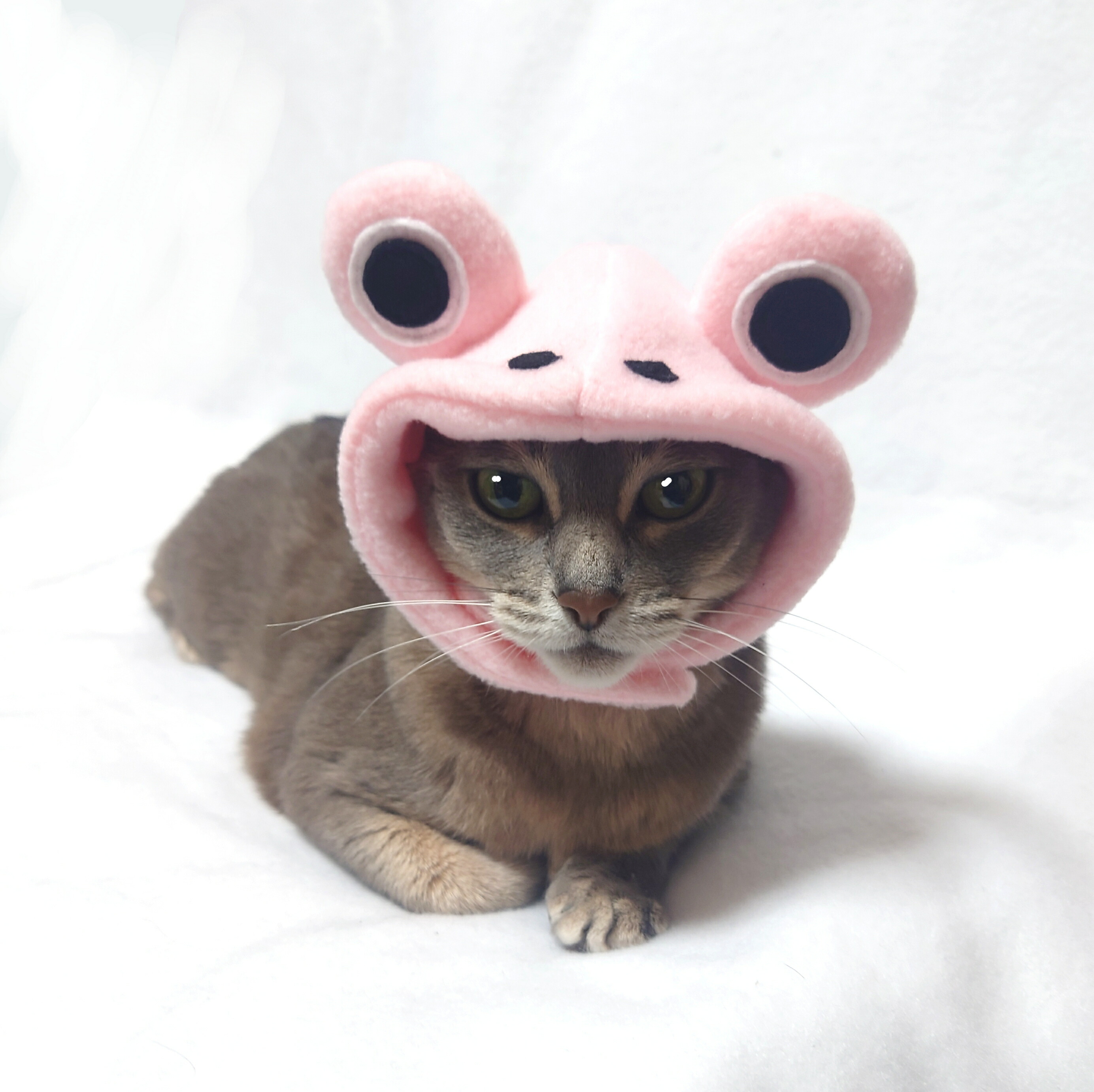 ペット用かぶりもの ピンクカエルver S M Lサイズ K01 0080p Wan18 Marcsdesign Com