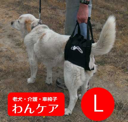 アメリカ製　歩行補助ハーネス(前足用） S　ウォークアバウト 介護用前足歩行補助ハーネス S【ウォークアバウト】【犬用介護