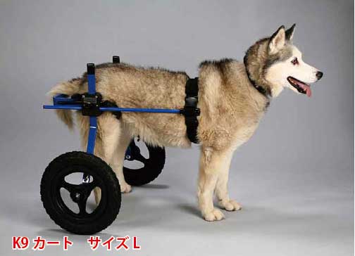 試乗車あり 犬の車椅子 K9カート スタンダード 後脚サポート L 22 30kg 用 ラブラドール ラブラドール シェパード バーニーズ グレートピレニーズ 介護用品 犬 思い出 犬 車イス わんケア 犬用 車椅子 車いす カート 大型犬用車椅子 バギー 後肢 後足 歩行器 犬