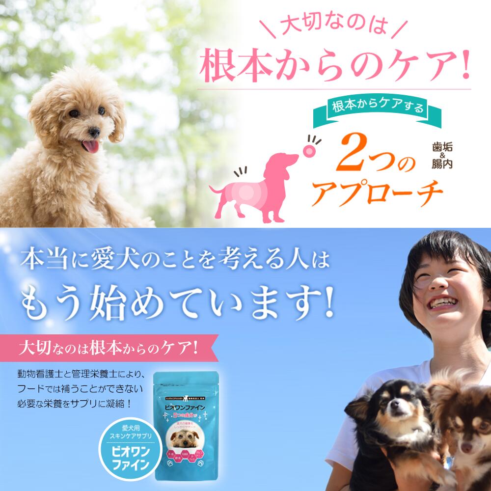 楽天市場 わんちゃんライフ ビオワンファイン60粒 犬用 腸内環境 乳酸菌 サプリ サプリメント 犬 Ec 12 犬用サプリメント 犬用サプリ 乳酸菌 サプリ 腸活 青パパイヤ ペット 犬 酵素 ビール酵母 グルコサミン 口臭 体臭 涙やけ 食糞 毛並み 毛艶 アレルギー 国産