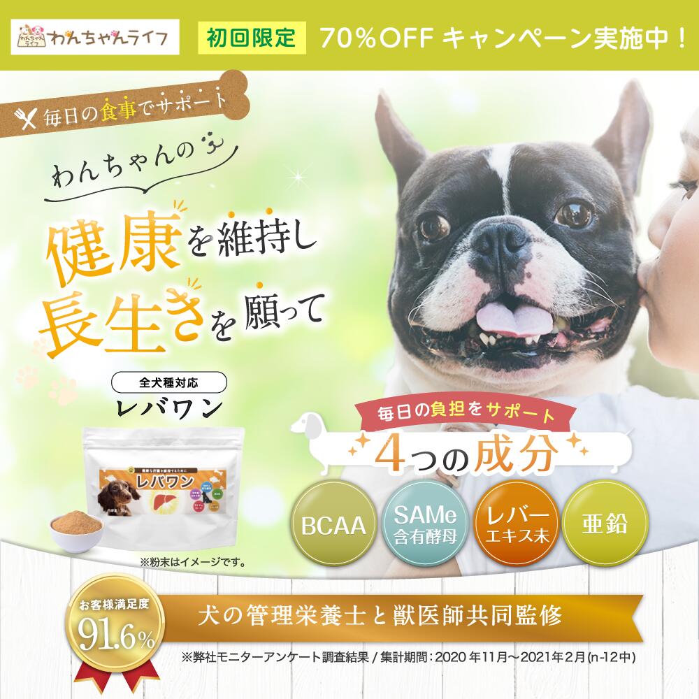 楽天市場 レバワン 犬 肝臓 ドックフード 犬 亜鉛 健康 犬用 栄養補助食品 肝臓ケア 下痢 軟便 国産ドッグフード 健康維持 腸内環境 犬 サプリ サプリメント 食欲がない 乳酸菌 無添加 ふりかけ 粉末 犬用サプリメント 犬用サプリ 獣医師 薬剤師 動物病院 わんちゃん