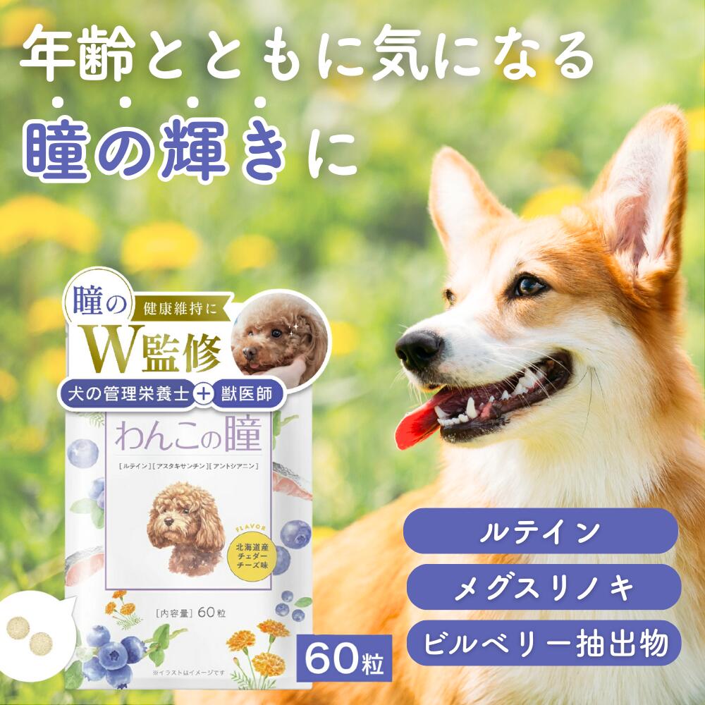 楽天市場】犬 乳酸菌 サプリメント 腸内 サプリ 酵素 セラミド