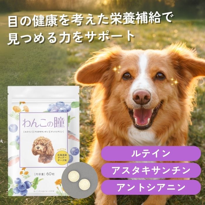 楽天市場】犬 目 サプリメント サプリ ブルーベリー ルテイン 犬