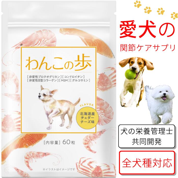 楽天市場】犬 ペット サプリメント 国内製造 送料無料 目 ブルーベリー 