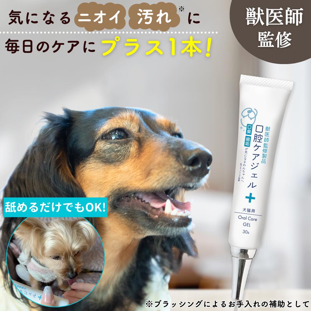 楽天市場】CRYSTAL JOY (歯みがきジェル)クリスタルジョイ 犬用